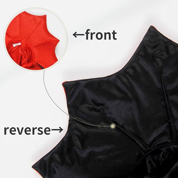 Pet Vampire Costume